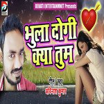 Avinash Kumar Songs MP3 Download