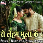 Ro Leham Bhula Ke Album Download