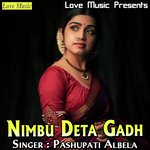 Nimbu Deta Gadh Album Download