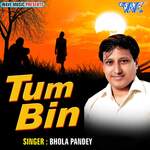 Tum Bin - Ajit Anand Song Download