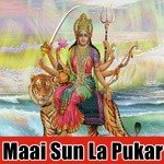 Anand Halve