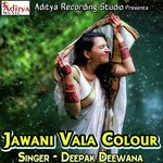 Jawani Vala Colour Album Download
