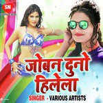 Jiwan Duno Hile La - Raja Song Download