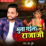 Bhula Gaila Raja Ji Album Download