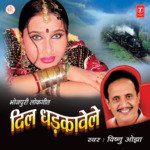 Dil Dhadkavele Album Download