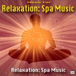 Relaxation Spa Music Masters Songs MP3 Download
