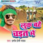 Luk Bahe Chait Me Album Download