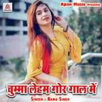 Chumma Leham Gore Gal Me - Sandeep Sawan Song Download