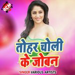 Tohra Choli Ke Joban - Durgesh Deewana Song Download