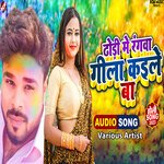 Dhodi Me Rangawa Gila Kaile Ba Album Download