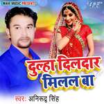 Dulha Dildar Milal Ba Album Download