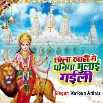 DHANIYA BHULA GHAILI - Sunil Sajan Song Download