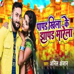 Papad Khilake Jhapad Marela Album Download