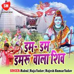 Dam Dam Damru Wala Shiv Album Download