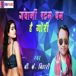 B.K Bihari
