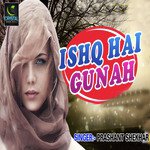 Prashant Shekha