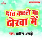 Arvind Anari