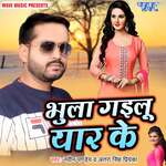 Bhula Gailu Yaar Ke Album Download