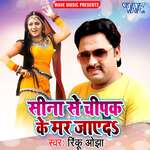 Seena Se Chipak Ke Mar Jaeda Album Download
