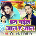 Anil Paji