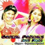 Gajendar Piyakad Songs MP3 Download