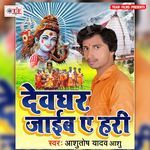 Devghar Jaib Ae Hari Album Download