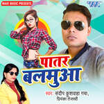Patar Balamua Album Download