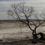 Greg Ellis Songs MP3 Download