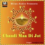 Parmjeet Tittu Songs MP3 Download