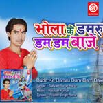 Baba Ke Damru Dam Dam Baje - Rajesh Singh Rana Song Download