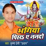 Bhangiya Pisa Ae Nando Album Download