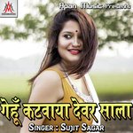 Gehu Katwaya Dewar Sala Album Download
