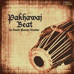 Pandit Bhavani Shankar Songs MP3 Download