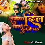 Rowela Dil Khali Tutale Pa Album Download