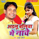 Aailu Baliya Me Nache Album Download