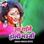 Aa Gaile Holi Bhauji Album Download