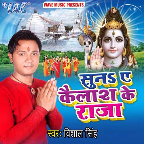 Suna Ae Kailash Ke Raja Vishal Singh MP3 Download