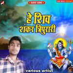 He shiv shankar tripurari - Guddu Raja Song Download