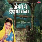 Angane Mein Kuiya Raja - Anita Song Download