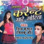 Shiv Kumar Bikku Ji Songs MP3 Download