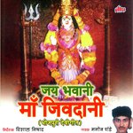 Jay Bhavani Maa Jivdani Album Download