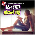 Dil Hamar Torle Baru (Bhojpuri Song) Album Download