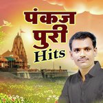 Pankaj Puri Hits Album Download