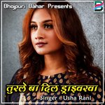 Turale Ba Dil Driverwa Album Download