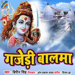 Gajedi Balma Album Download