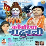 Vikash Bihari Songs MP3 Download