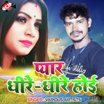 Pyar Dhire Dhire Hoi - Sonu Sargam Song Download