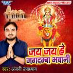 Jai Jai He Jagdamba Bhawani Album Download