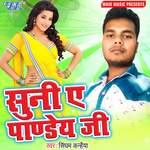 Suni Ae Pandey Ji Album Download
