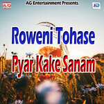 Roweni Tohase Pyar Kake Sanam Album Download